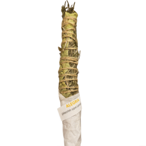 Incenso Bastão Alegria 15g